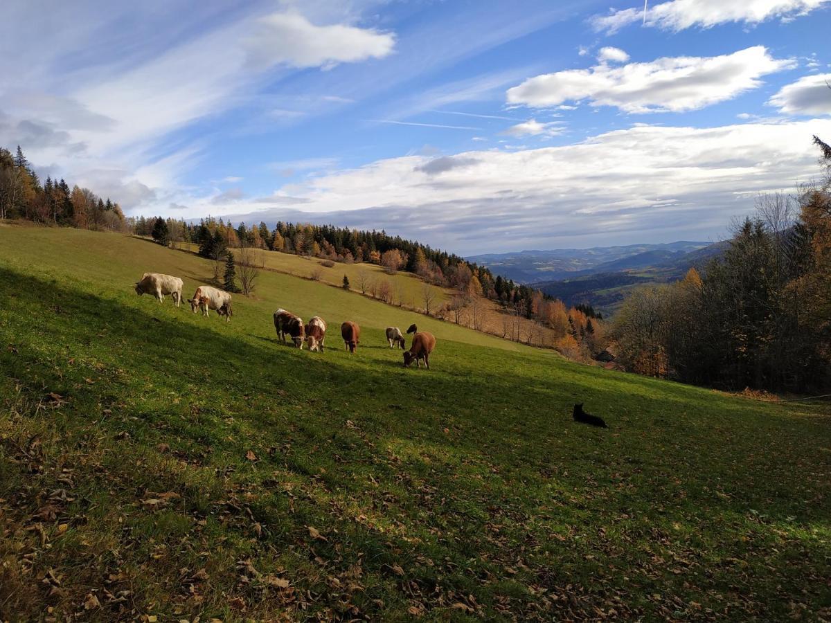 Almbauer Morgenbesser Trattenbach  Exterior foto