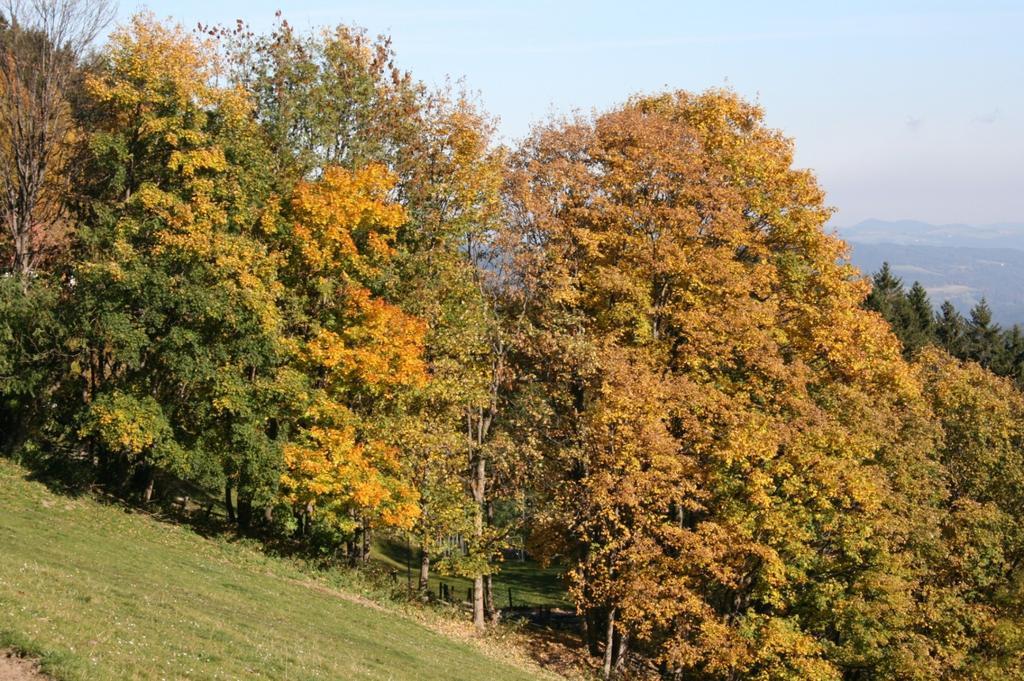 Almbauer Morgenbesser Trattenbach  Exterior foto
