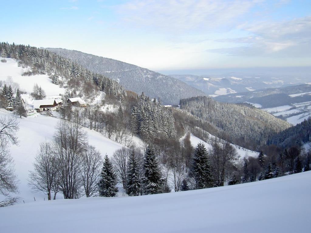 Almbauer Morgenbesser Trattenbach  Exterior foto